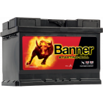 Banner 555 19 Starting Bull PKW-Batterie 12V 55Ah 450A