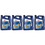 Eurolub GTS SAE 20W-50 4x 5 = 20 Liter