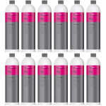 Koch-Chemie Fresh Up (Geruchskiller) 12x 1l = 12 Liter