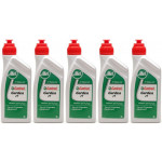 CASTROL GARDEN 2T Motoröliter 5x 1l = 5 Liter