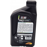 Selenia WR Forward 0W-30 Motoröl 1l