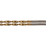 BGS Spiralbohrer | HSS-G | titan-nitriert | 3,0 mm | 2-tlg.