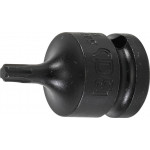 BGS Kraft-Bit-Einsatz | Antrieb Innenvierkant 12,5 mm (1/2