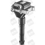 BorgWarner (BERU) Zündspule