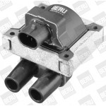 BorgWarner (BERU) Zündspule