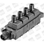 BorgWarner (BERU) Zündspule