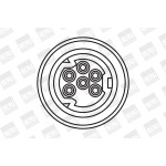 BorgWarner (BERU) Zündspule