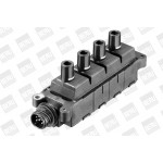 BorgWarner (BERU) Zündspule