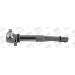 BorgWarner (BERU) Zündspule