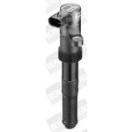 BorgWarner (BERU) Zündspule