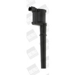 BorgWarner (BERU) Zündspule