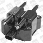 BorgWarner (BERU) Zündspule