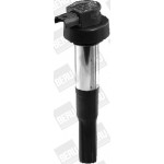 BorgWarner (BERU) Zündspule