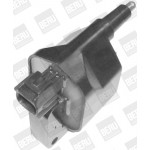 BorgWarner (BERU) Zündspule