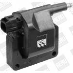 BorgWarner (BERU) Zündspule
