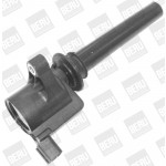 BorgWarner (BERU) Zündspule