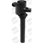 BorgWarner (BERU) Zündspule