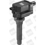 BorgWarner (BERU) Zündspule
