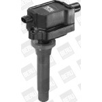 BorgWarner (BERU) Zündspule