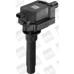 BorgWarner (BERU) Zündspule