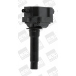 BorgWarner (BERU) Zündspule
