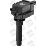 BorgWarner (BERU) Zündspule