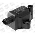 BorgWarner (BERU) Zündspule