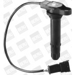 BorgWarner (BERU) Zündspule
