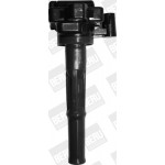 BorgWarner (BERU) Zündspule