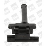 BorgWarner (BERU) Zündspule