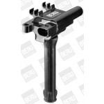 BorgWarner (BERU) Zündspule