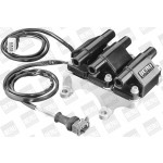 BorgWarner (BERU) Zündspule