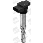 BorgWarner (BERU) Zündspule