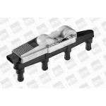 BorgWarner (BERU) Zündspule