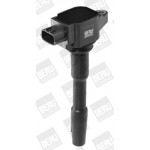 BorgWarner (BERU) Zündspule