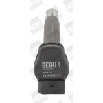 BorgWarner (BERU) Zündspule
