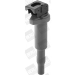 BorgWarner (BERU) Zündspule
