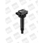 BorgWarner (BERU) Zündspule