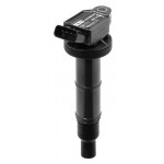 BorgWarner (BERU) Zündspule