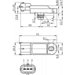 BOSCH Sensor, Ladedruck