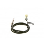 BOSCH Sensor, Abgastemperatur