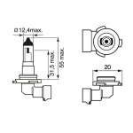 BOSCH Glühlampe, Nebelscheinwerfer