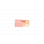 BOSCH Sicherung