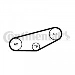 CONTINENTAL CTAM Keilrippenriemensatz