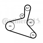 CONTINENTAL CTAM Keilrippenriemensatz