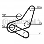 CONTINENTAL CTAM Keilrippenriemensatz