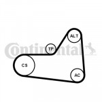 CONTINENTAL CTAM Keilrippenriemensatz