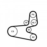 CONTINENTAL CTAM Keilrippenriemensatz