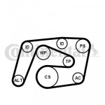 CONTINENTAL CTAM Keilrippenriemensatz