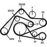 CONTINENTAL CTAM Zahnriemensatz